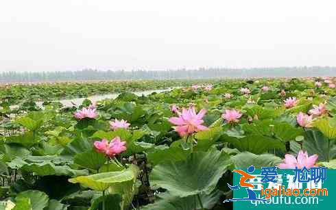 2021岳陽旅游攻略必去景點推薦? 2021岳陽旅游攻略必去景點推薦?