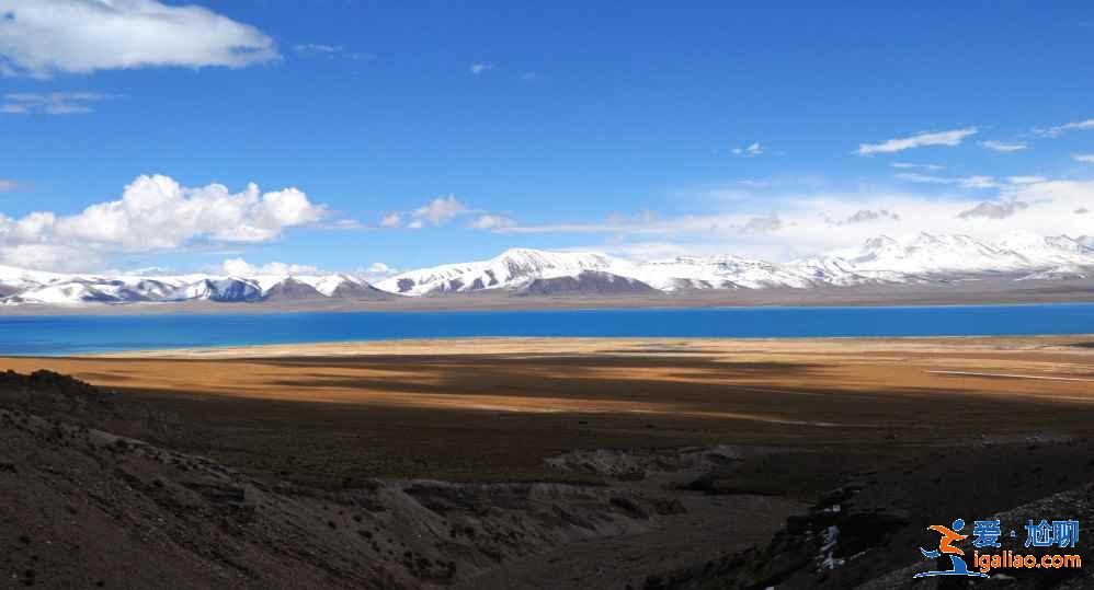自駕去西藏，領略路邊最美風景？