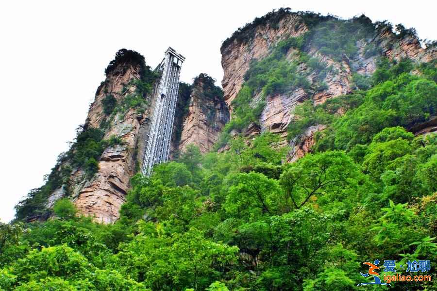 張家界百龍天梯門票價格，百龍天梯門票攻略，百龍天梯門票怎么買？