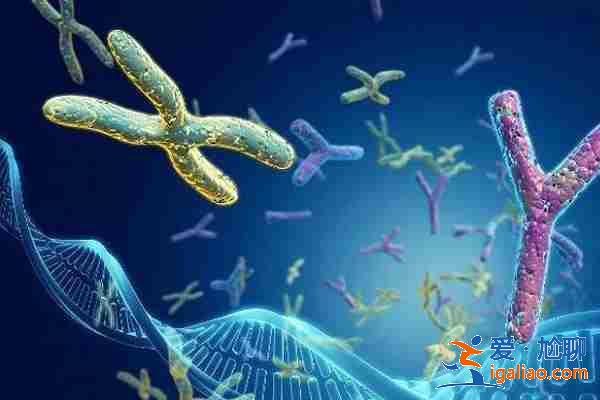 推薦代懷孩子哪家公司好「費用清單」？