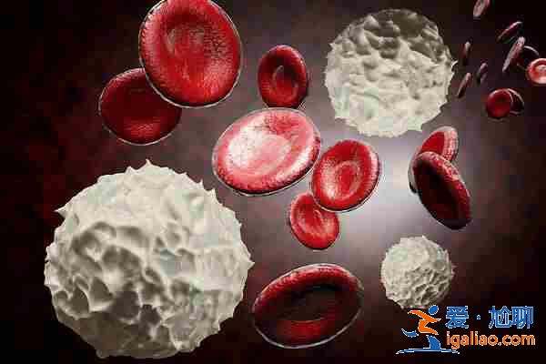 代懷生子價格，助孕媽媽是什么意思？