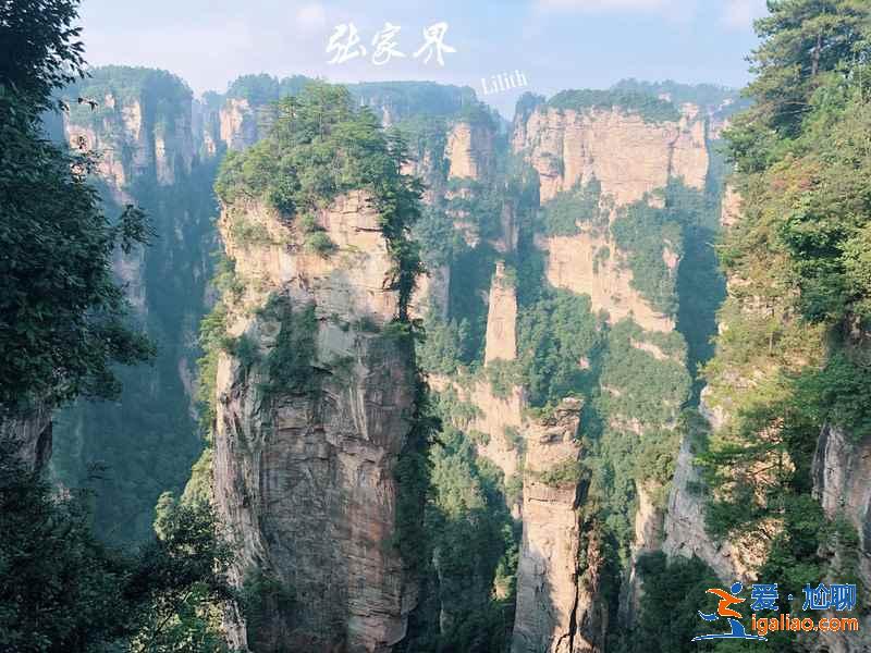 張家界百龍天梯門票價格，百龍天梯門票攻略，百龍天梯門票怎么買？