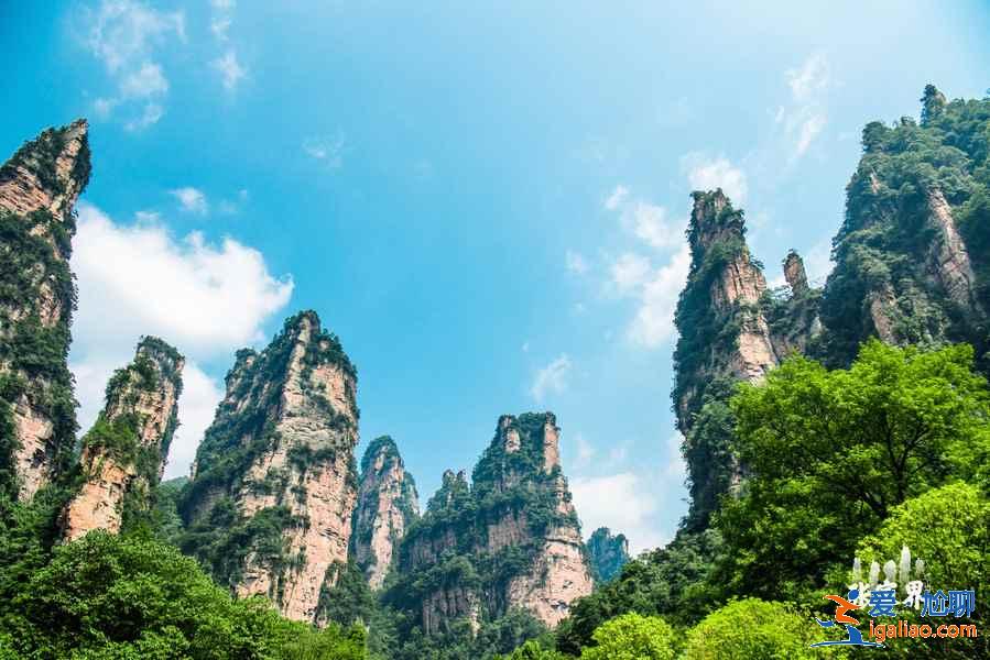 張家界國家森林公園門票價格，張家界國家森林公園門票攻略，張家界國家森林公園門票怎么買？