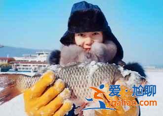 哈爾濱夏季旅游景點，哈爾濱旅游必去景點，哈爾濱值得去的景點？