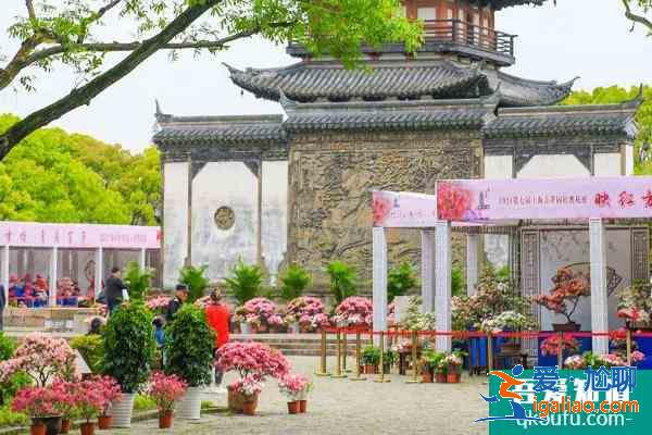 2021上海方塔園杜鵑花展時間？