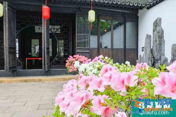 2021上海方塔園杜鵑花展時間？