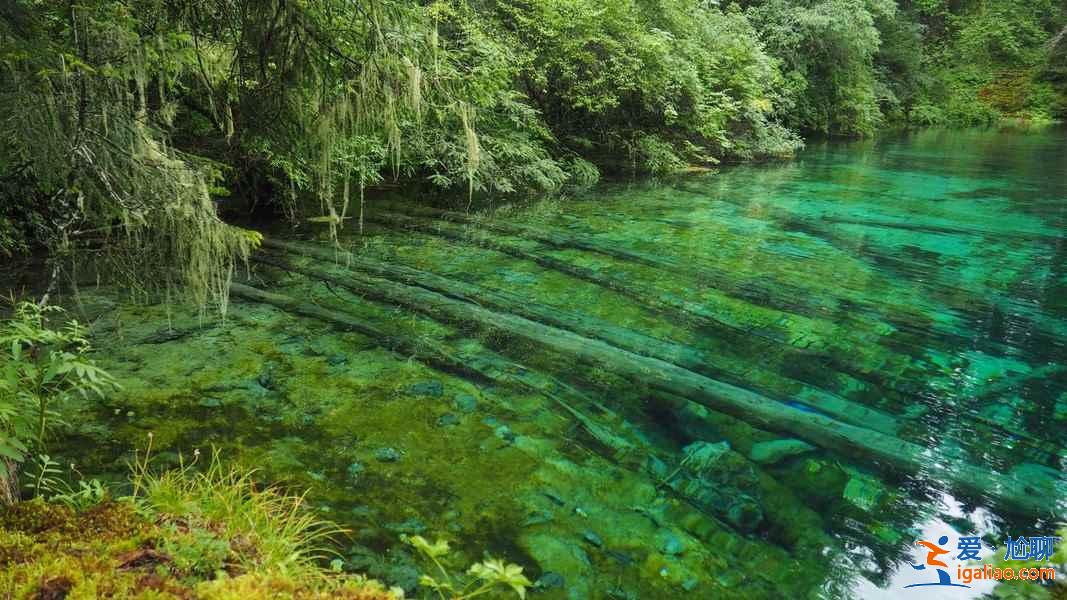 四川最美的溝，避暑就來這吧？