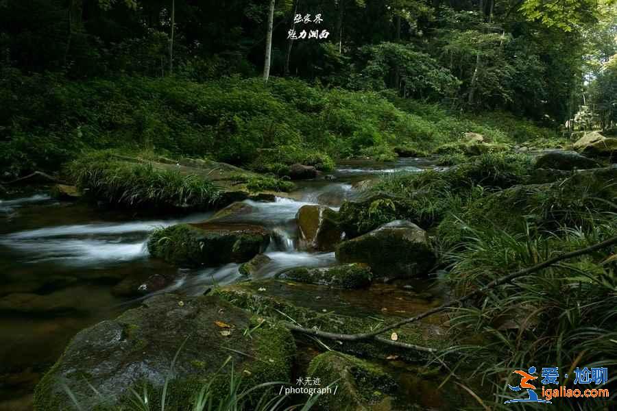 張家界適合情侶游玩的景點，張家界情侶游景點推薦，張家界情侶游玩攻略？