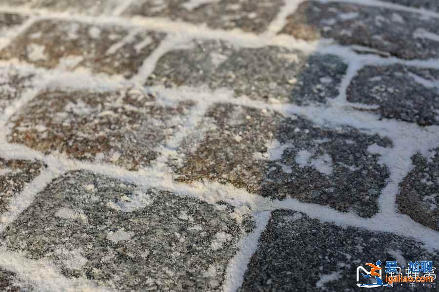 哈爾濱中央大街有什么好玩的,去哈爾濱中央大街看什么? 哈爾濱中央大街有什么好玩的,去哈爾濱中央大街看什么?