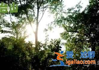 煙臺(tái)有哪些好玩的景點(diǎn),煙臺(tái)旅游景點(diǎn)攻略,煙臺(tái)好玩嗎? 煙臺(tái)有哪些好玩的景點(diǎn),煙臺(tái)旅游景點(diǎn)攻略,煙臺(tái)好玩嗎?