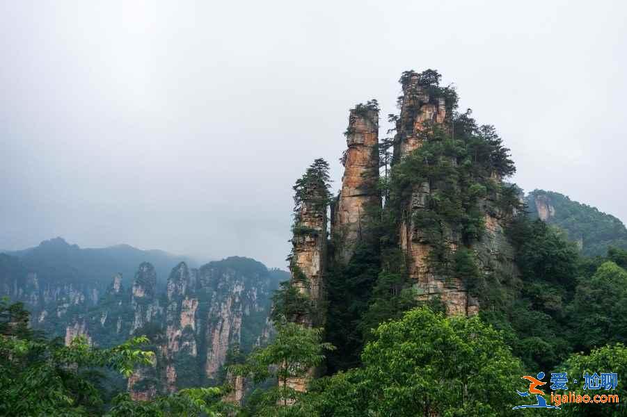 張家界有哪些影視取景地，張家界大片取景地，張家界阿凡達取景地？