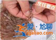 白米蝦炒豆腐怎么做？？