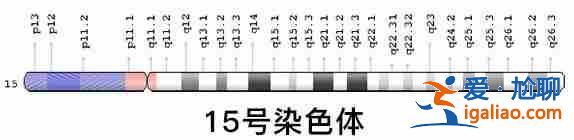 國內包生男孩價格表？