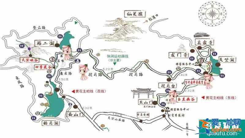 2021廈門天竺山桐花節時間地點及活動介紹？