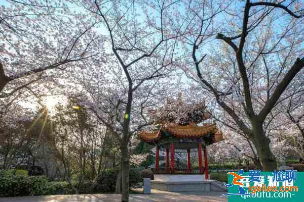 2021徐州五一旅游最佳去處？