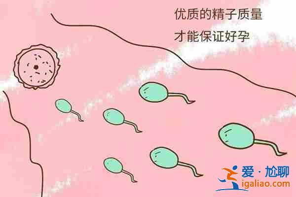 解說試管助孕費用多少(實力保障)? 解說試管助孕費用多少(實力保障)?