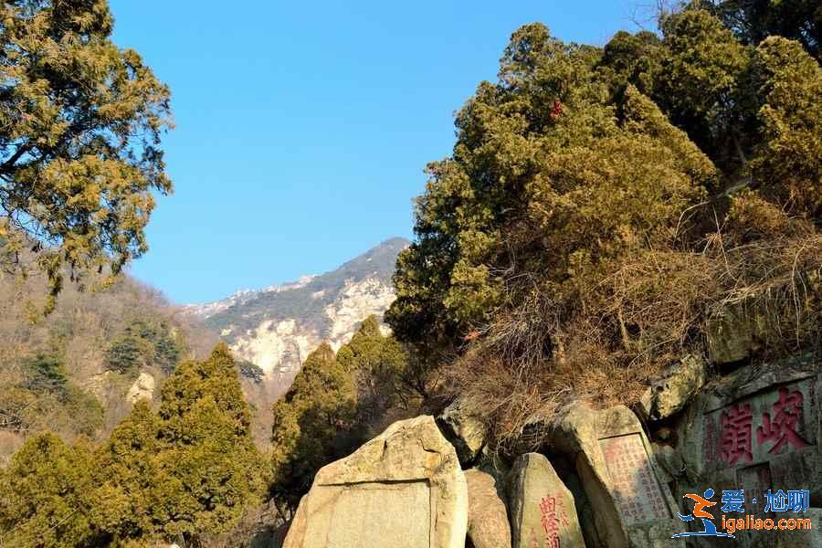 爬泰山住宿怎么選？為你支招！？