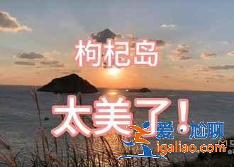 舟山到枸杞島要多久，舟山到枸杞島船票價格？