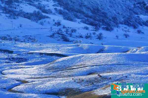 重慶哪里雪景最美 重慶冬天旅游好去處？