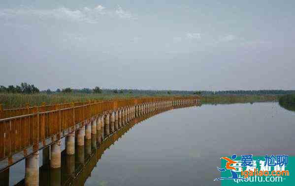 天津免費景點匯總 好玩不花錢？