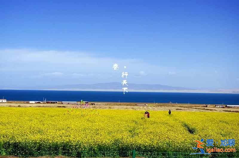 【甘肅青海七日游】青海甘肅大環線七日游路線、景點、費用？