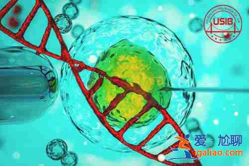 哈爾濱哪里需要代媽,根據(jù)各方面情況制定方案？