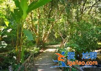 幾月份去云南旅游最好，一年四季分別適合去云南哪里，云南旅游月歷？