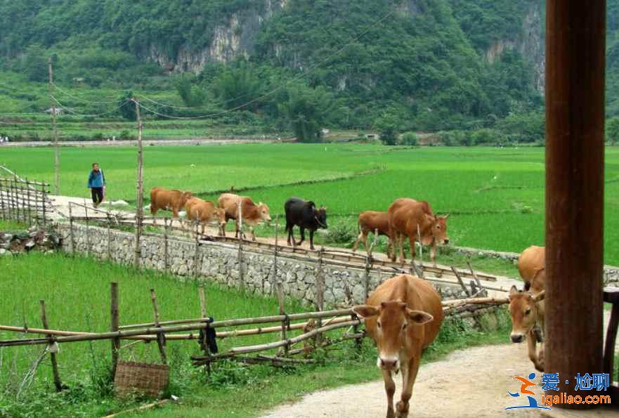 幾月份去云南旅游最好，一年四季分別適合去云南哪里，云南旅游月歷？