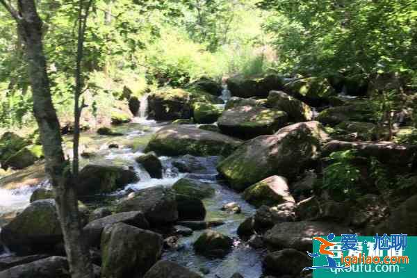 茅蘭溝國家森林公園在哪里怎么去? 茅蘭溝國家森林公園在哪里怎么去?