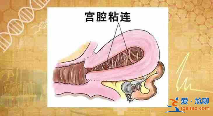 天津代生助孕[ 高端技術(shù)三甲助孕 ]？