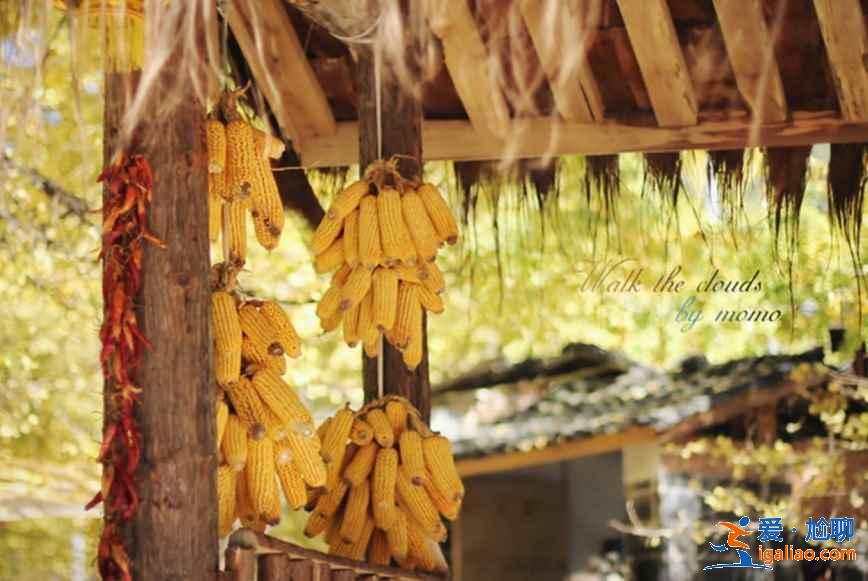 幾月份去云南旅游最好，一年四季分別適合去云南哪里，云南旅游月歷？