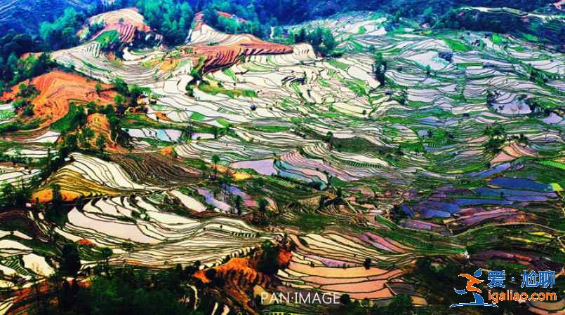 幾月份去云南旅游最好，一年四季分別適合去云南哪里，云南旅游月歷？