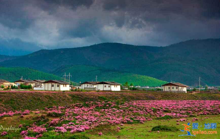幾月份去云南旅游最好，一年四季分別適合去云南哪里，云南旅游月歷？