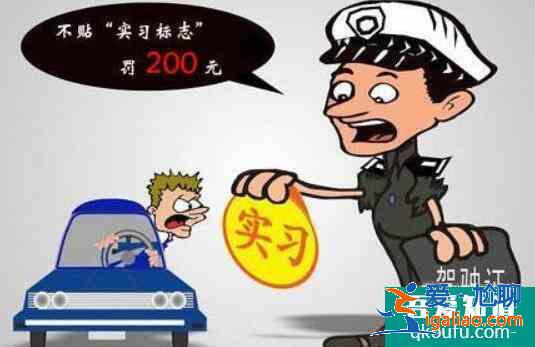 c1駕照實習期扣分規定，c1駕照實習期可以上高速嗎？