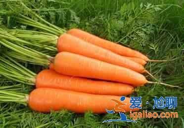 肝臟排毒吃那些食物比較好？？