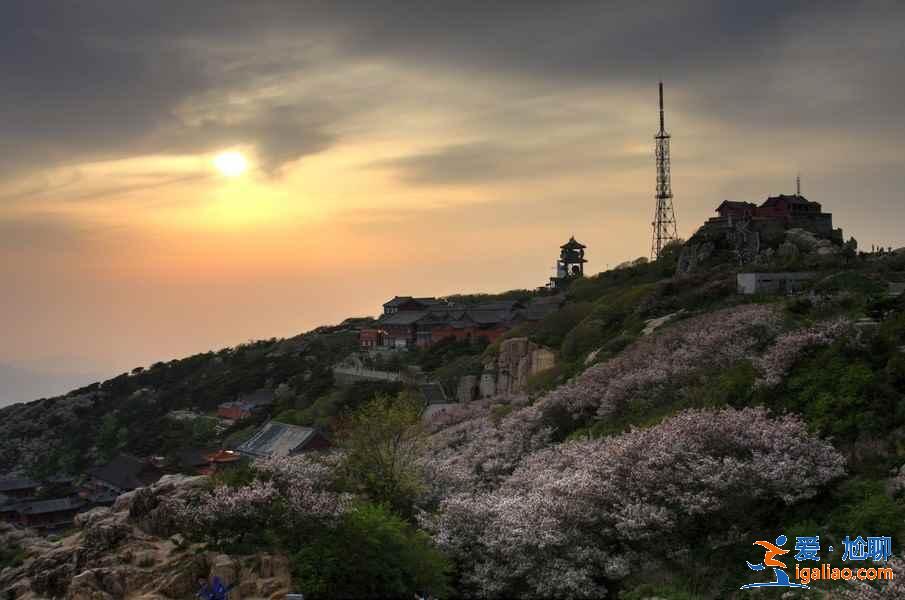 【總結(jié)】夜爬泰山的幾點(diǎn)注意事項(xiàng)？