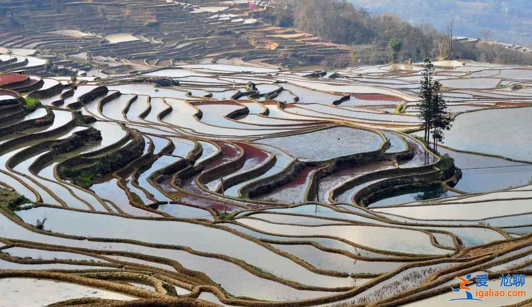 云南滇東南六日游怎么玩,云南滇東南六天自由行指南,云南滇東南六日游路線推薦? 云南滇東南六日游怎么玩,云南滇東南六天自由行指南,云南滇東南六日游路線推薦?