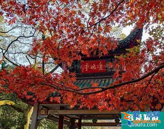 2020長沙岳麓山游玩攻略 岳麓山楓葉什么時候變紅？