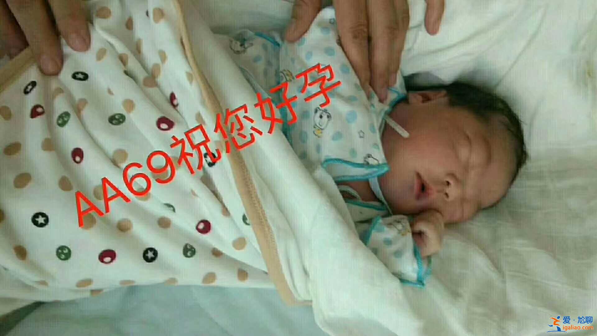 西寧代懷代生？