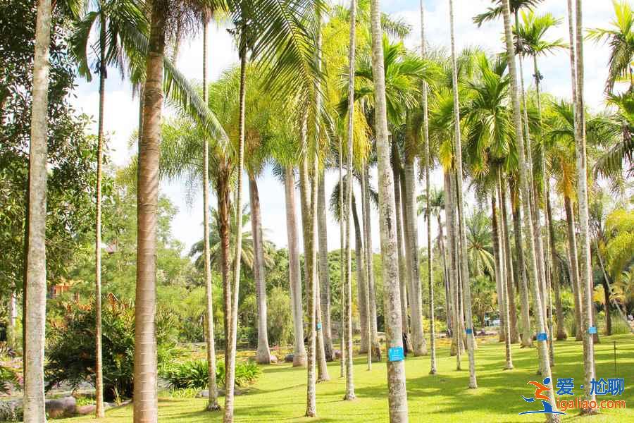 云南滇東南六日游怎么玩,云南滇東南六天自由行指南,云南滇東南六日游路線推薦? 云南滇東南六日游怎么玩,云南滇東南六天自由行指南,云南滇東南六日游路線推薦?