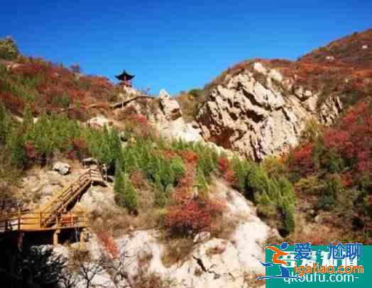 受疫情影響禹州大鴻寨景區1月3日起暫停對外開放？