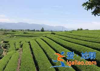 忘了烏鎮(zhèn)西塘吧,這些才是浙江的真正古鎮(zhèn)!? 忘了烏鎮(zhèn)西塘吧,這些才是浙江的真正古鎮(zhèn)!?