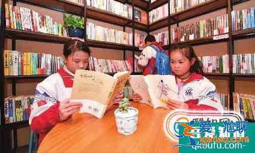 初一新生如何學習初中語文？
