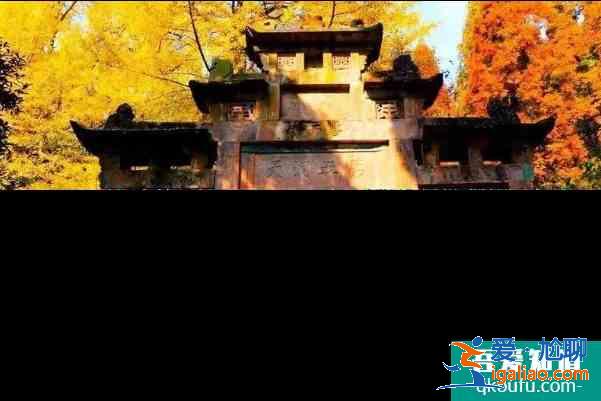 2020都江堰靈巖寺銀杏什么時(shí)候黃？