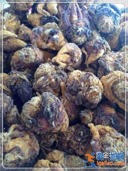 云南黑金根瑪咖怎么吃,云南黑金根瑪咖的作用? 云南黑金根瑪咖怎么吃,云南黑金根瑪咖的作用?