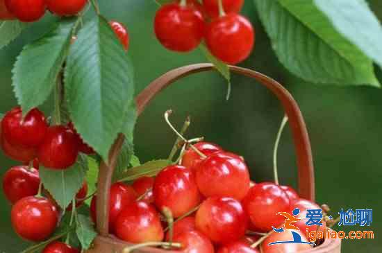 蜂蜜不能和什么水果一起吃? 蜂蜜不能和什么水果一起吃?