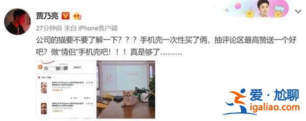 賈乃亮否認與金晨戀情 自拍照玄機同款手機殼同一只貓咪？