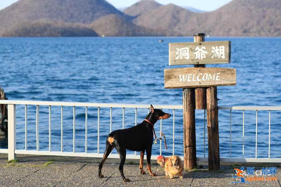 北海道四日游怎么玩？北海道四日游怎么安排？北海道四日游玩攻略？
