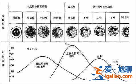 三代試管可以包成功嗎？