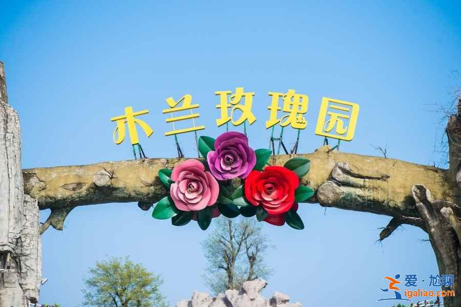 【武漢賞花】武漢賞花去哪里，武漢賞花全年花期表？